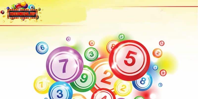 Quyền hạn và nghĩa vụ của người chơi xổ số điện toán