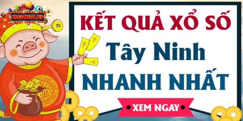 Mẹo dự đoán kết quả vé số Tây Ninh hôm nay nhanh nhất