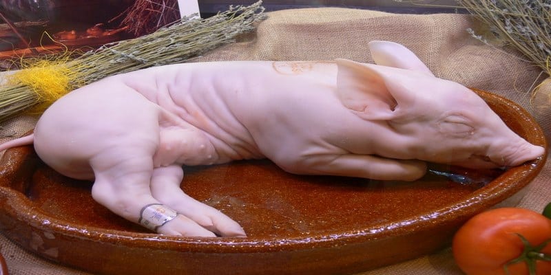 Giấc mơ thấy heo con bị làm thịt mang nhiều ý nghĩa
