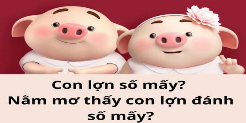 Giải mã chi tiết để biết nằm mơ thấy heo con đánh số gì