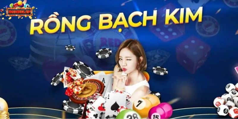 Những lý do không nên bỏ qua sân chơi soi cầu rồng bạch kim 